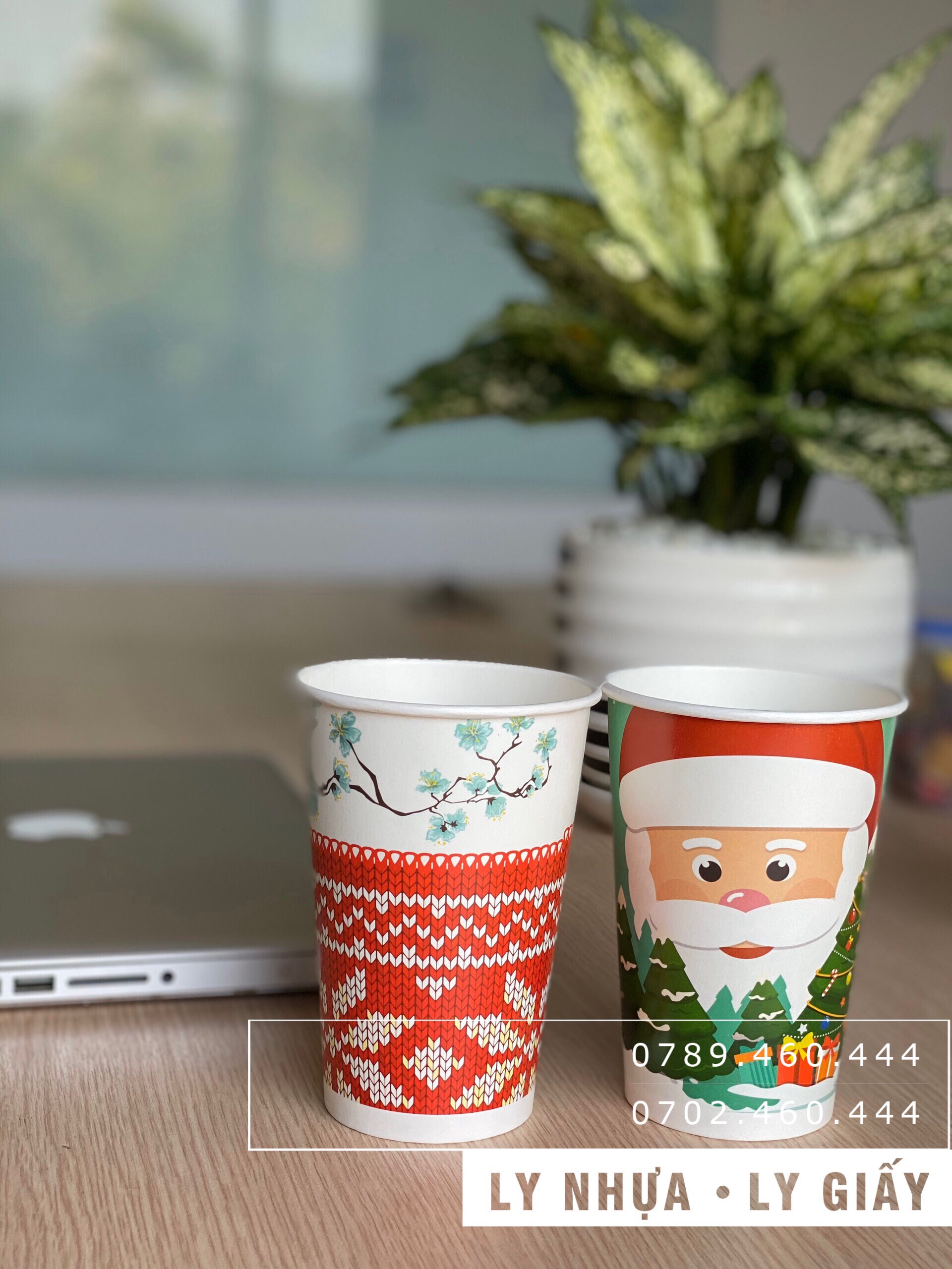Ly giấy Đà Nẵng mùa noel 2022