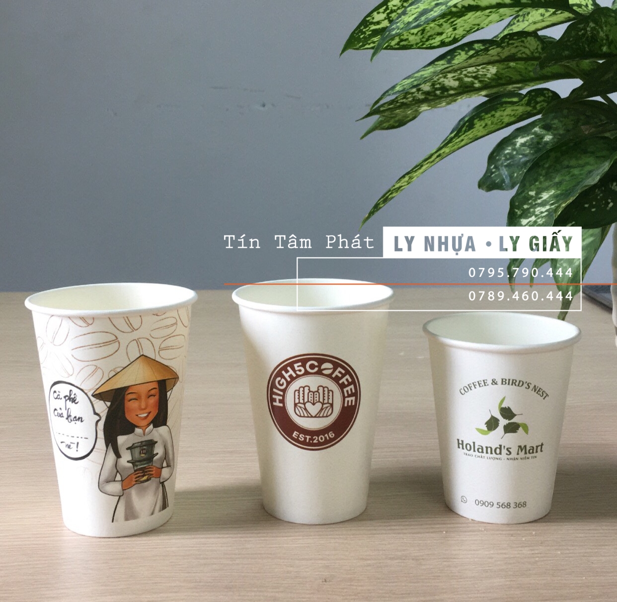 Ly giấy Quảng Ngãi, Gia Lai 11 lygiayquangngai